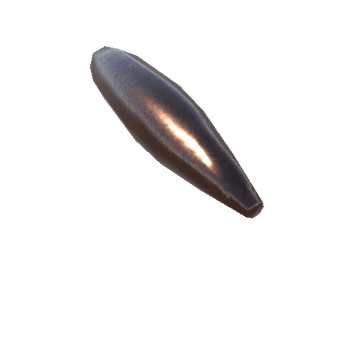 300 Winchester Magnum Bullet_1_2